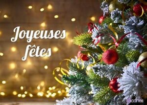 Lire la suite à propos de l’article Nos meilleurs voeux pour 2025